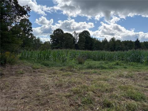 Scribner Road Pierpont OH 44082