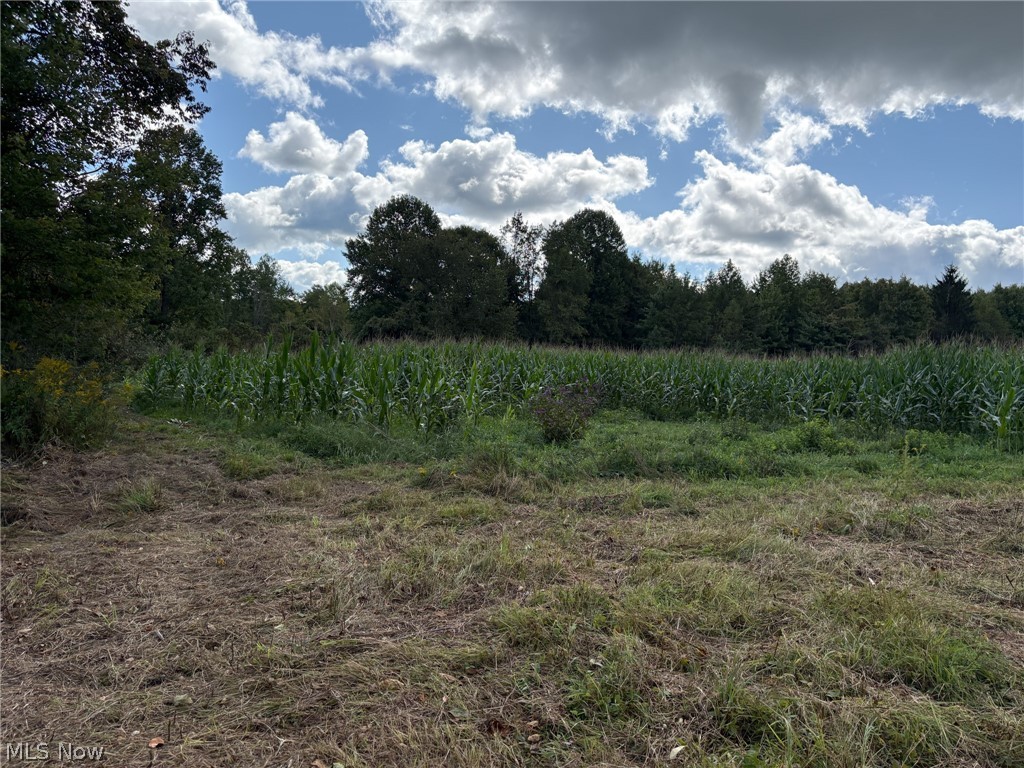 Scribner Road Pierpont OH 44082