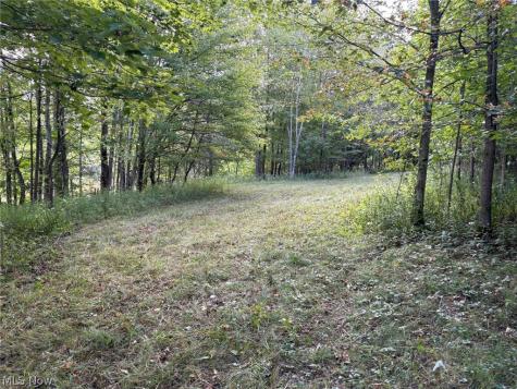 Scribner Road Pierpont OH 44082