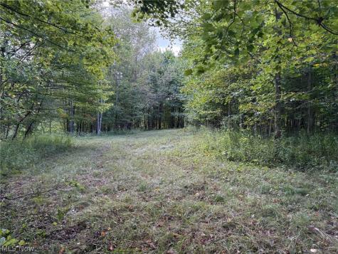 Scribner Road Pierpont OH 44082