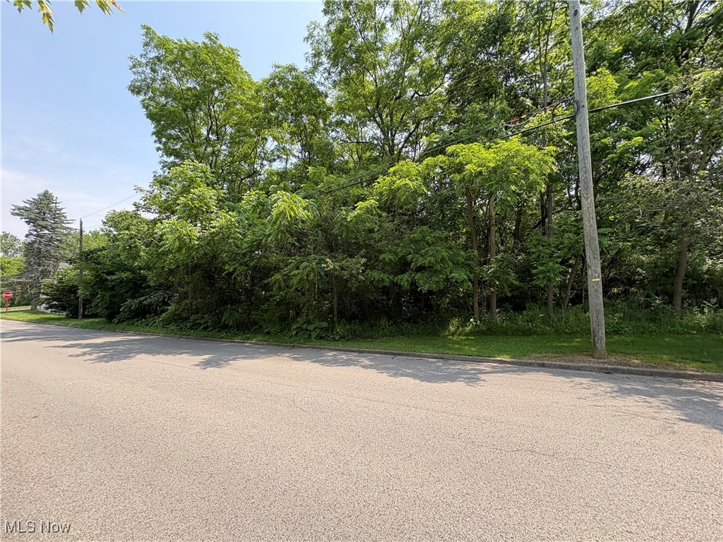Penhale Avenue Campbell OH 44405