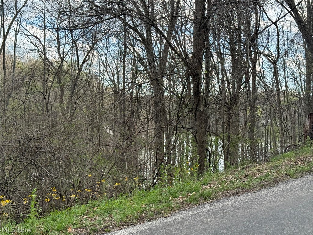 1524-1527 E Buckhorn Drive Millersburg OH 44654