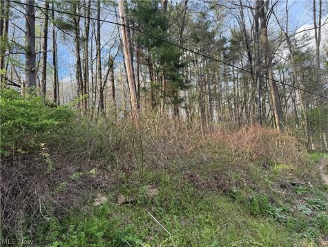1524-1527 E Buckhorn Drive Millersburg OH 44654