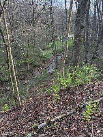 1524-1527 E Buckhorn Drive Millersburg OH 44654