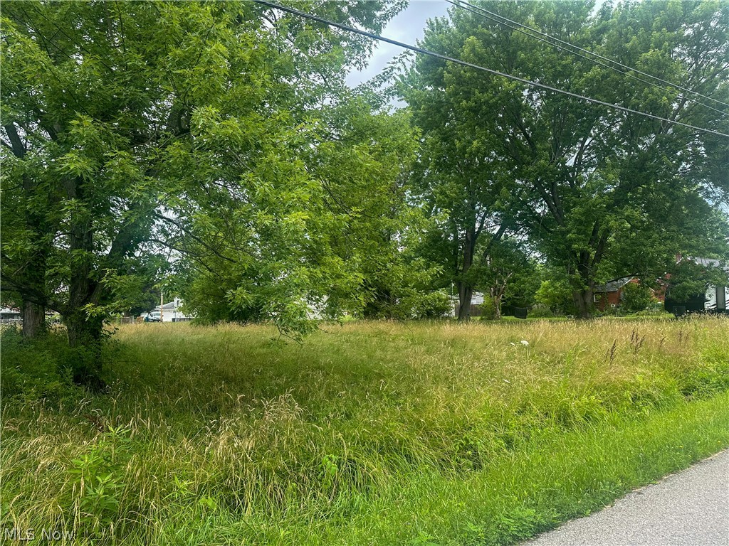 Longwood Avenue Niles OH 44446