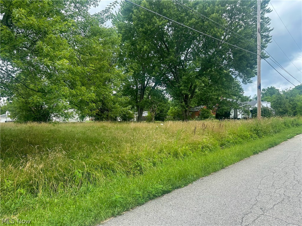 Longwood Avenue Niles OH 44446