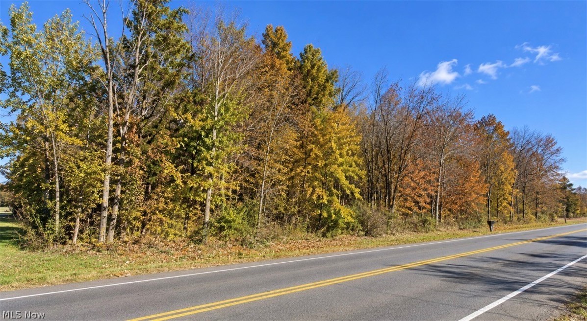 Mcclintocksburg Road Diamond OH 44412