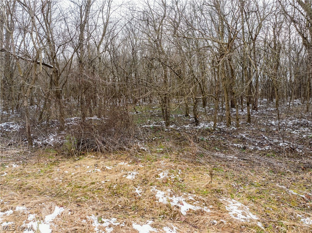 0 Raiders Road Dresden OH 43821