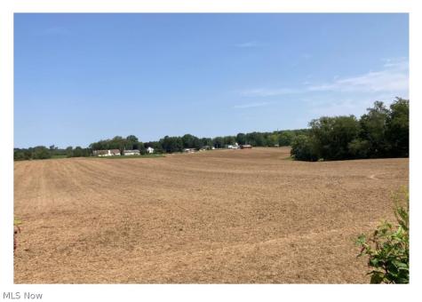 V/l - 33 Ac S Arlington Road Clinton OH 44216
