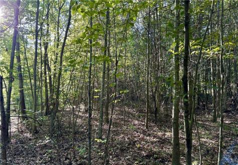Dunham Road Litchfield OH 44253