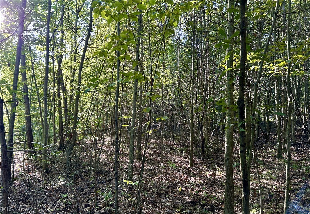Dunham Road Litchfield OH 44253