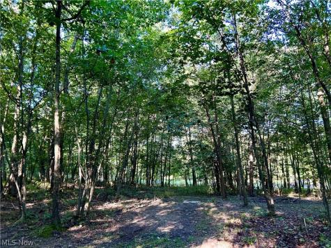 Dunham Road Litchfield OH 44253