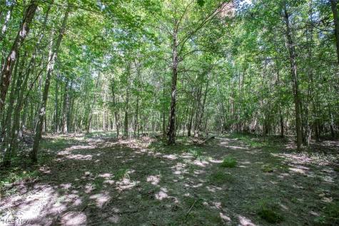 Dunham Road Litchfield OH 44253