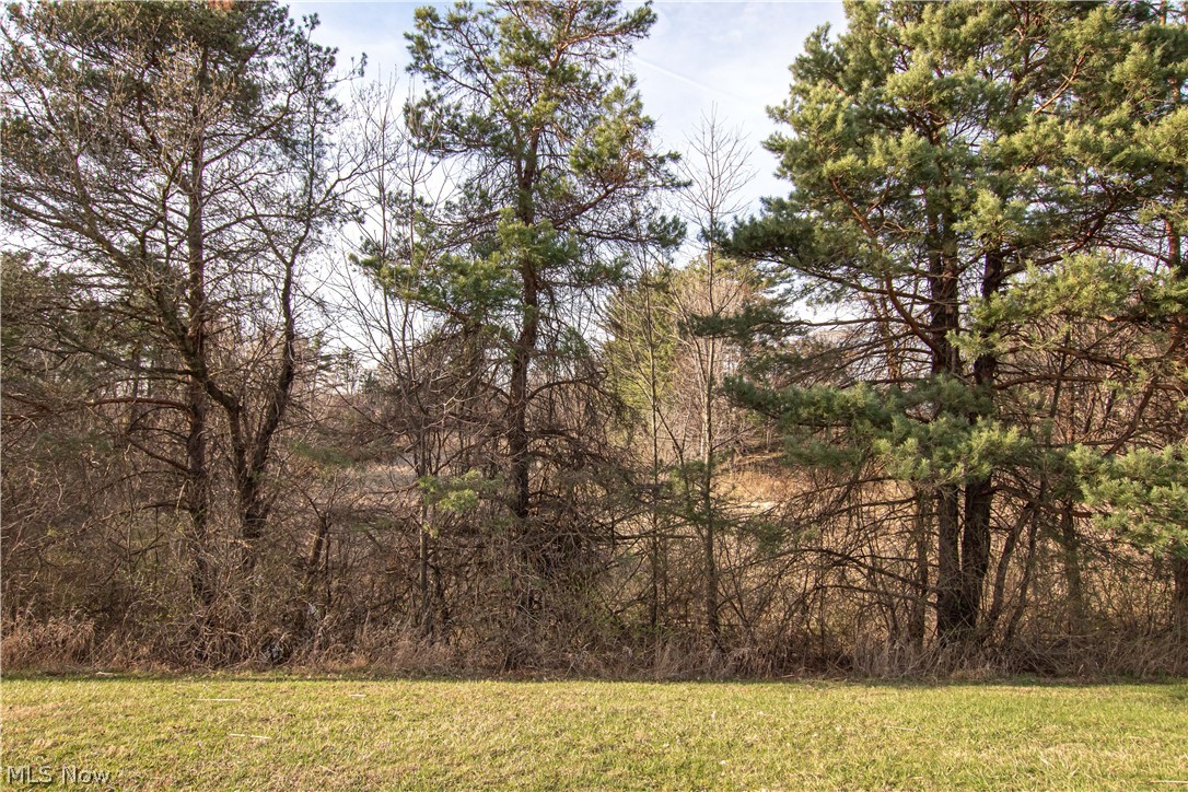 9608 Norwalk Road Litchfield OH 44253