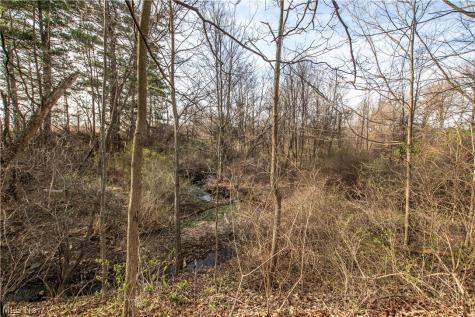 9608 Norwalk Road Litchfield OH 44253