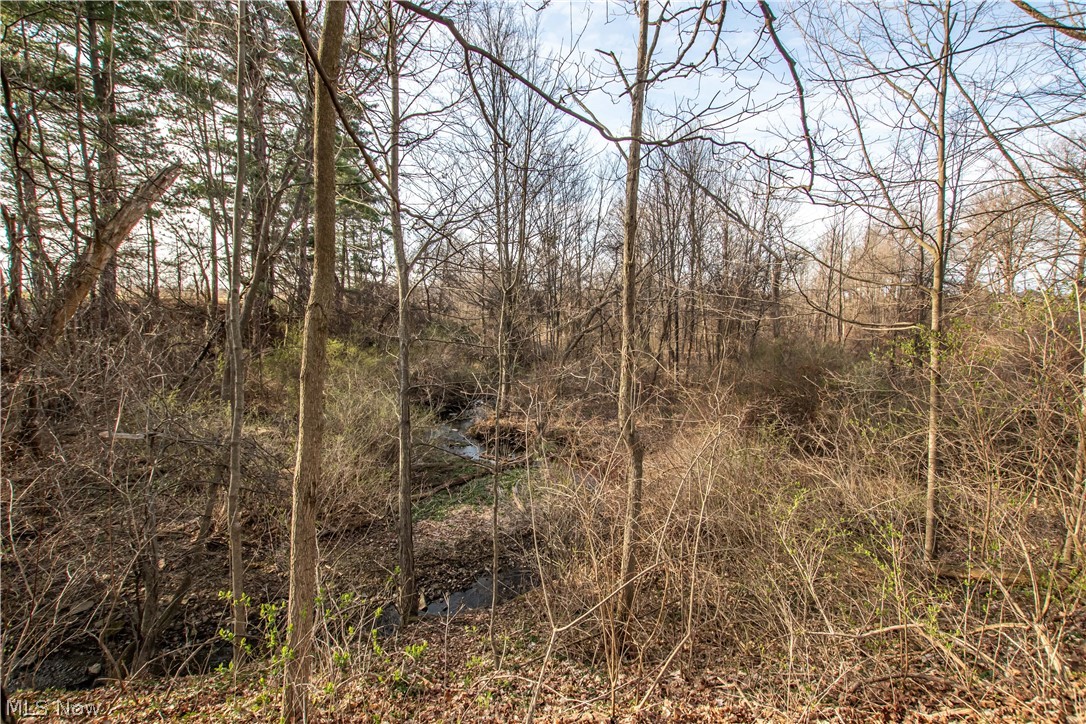 9608 Norwalk Road Litchfield OH 44253