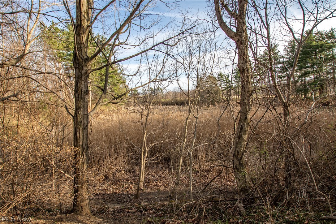 9608 Norwalk Road Litchfield OH 44253