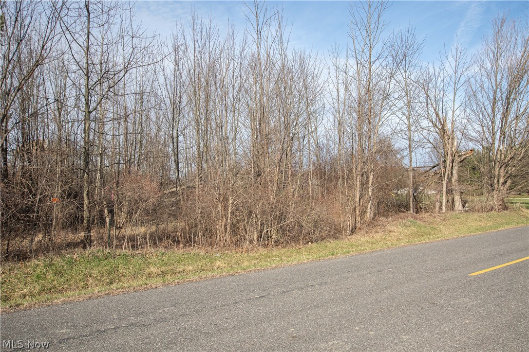 9608 Norwalk Road Litchfield OH 44253
