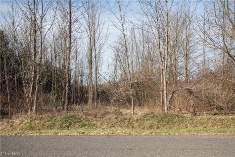 9608 Norwalk Road Litchfield OH 44253