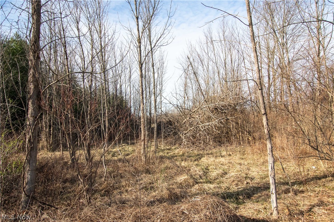9608 Norwalk Road Litchfield OH 44253
