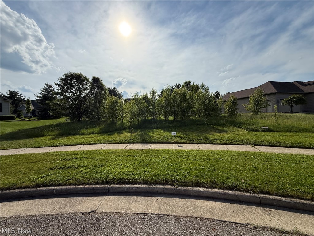 40 Woodland Run Canfield OH 44406