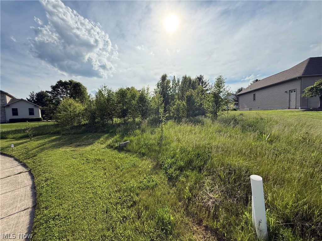 40 Woodland Run Canfield OH 44406