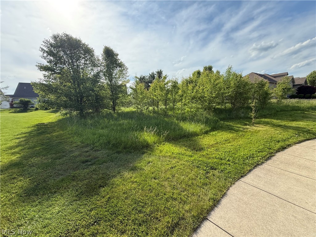 40 Woodland Run Canfield OH 44406