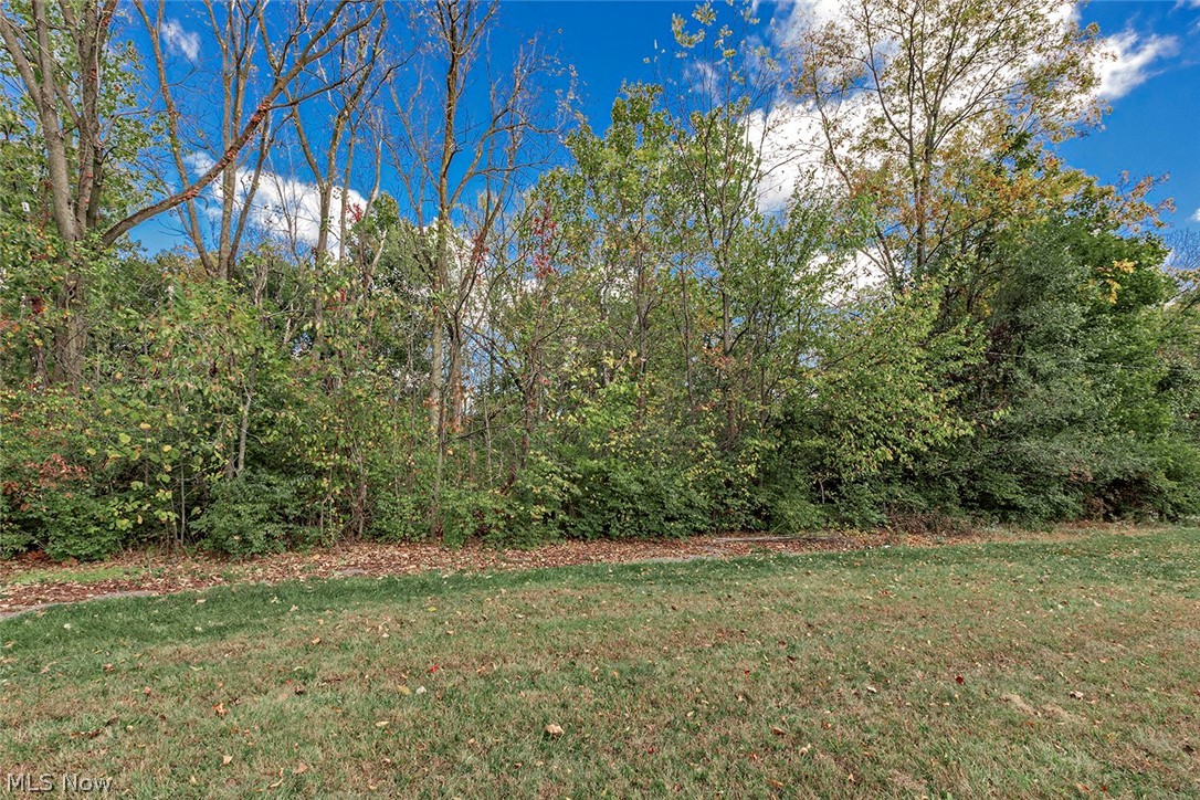 V/l Usher Road Olmsted Twp OH 44138