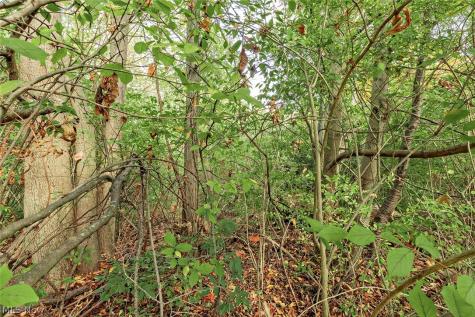 V/l Usher Road Olmsted Twp OH 44138