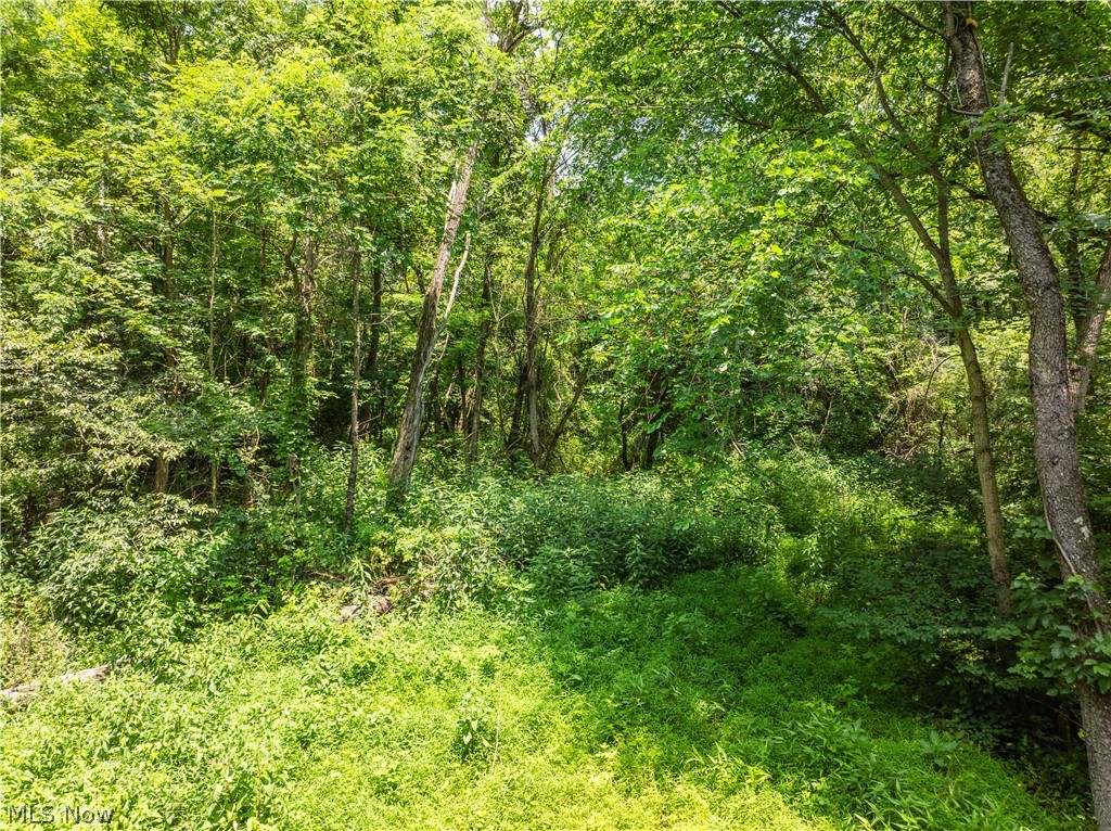 Lot 18 Township Road 51 Somerset OH 43783