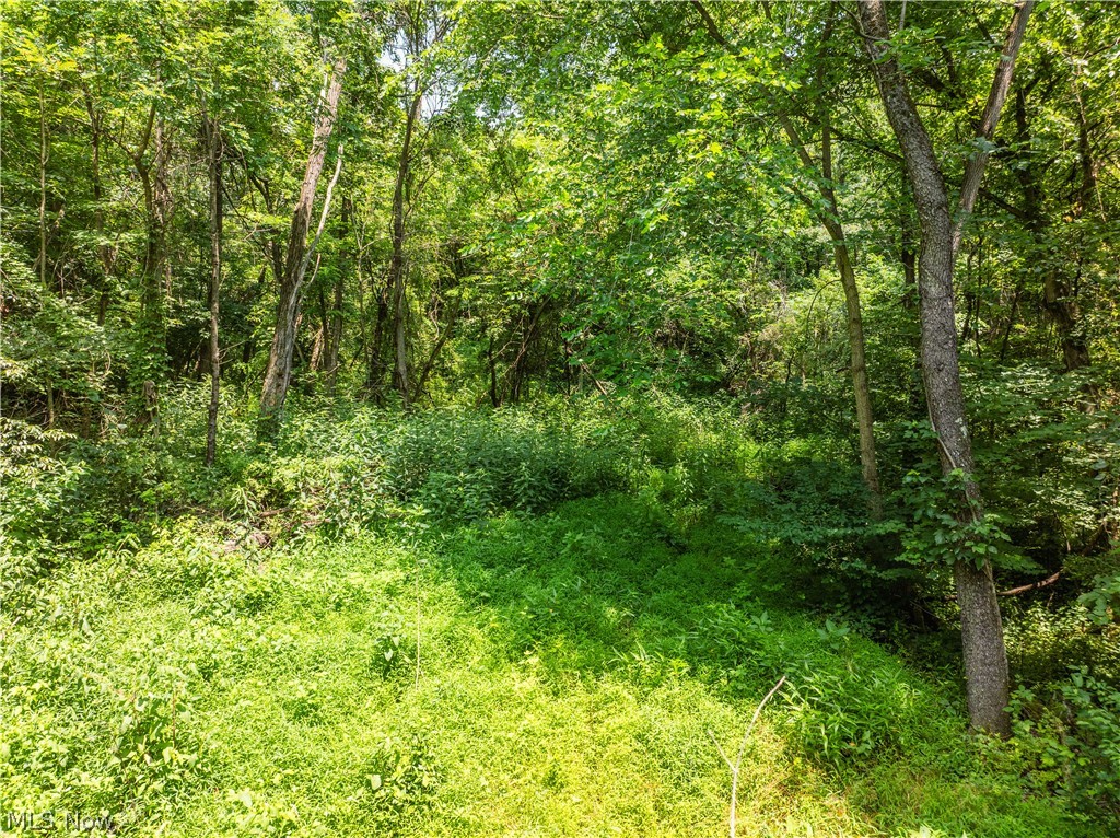Lot 18 Township Road 51 Somerset OH 43783