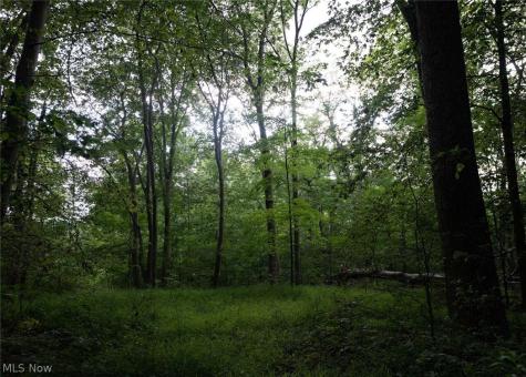 0 Beach Road Wadsworth OH 44281