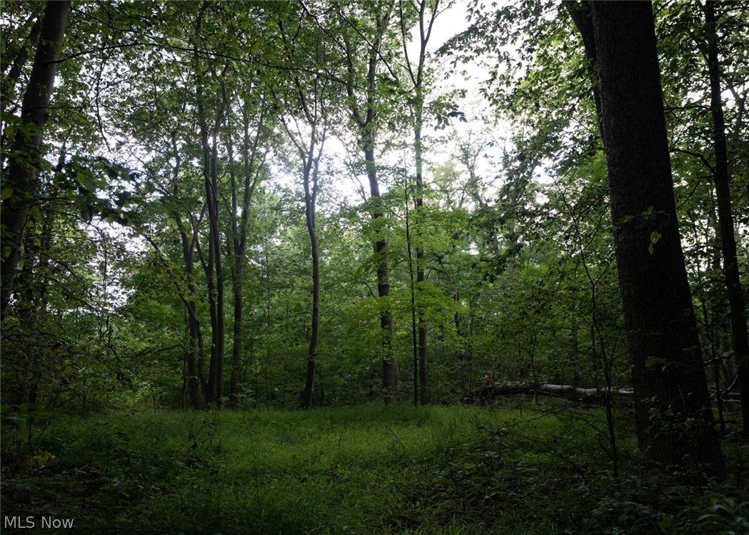 0 Beach Road Wadsworth OH 44281