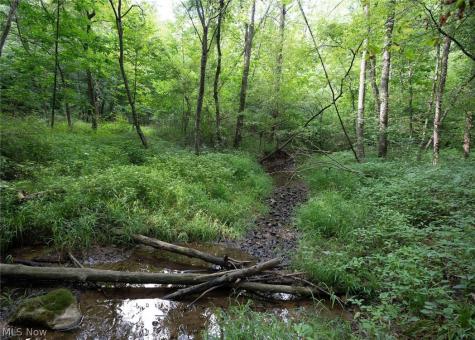 0 Beach Road Wadsworth OH 44281