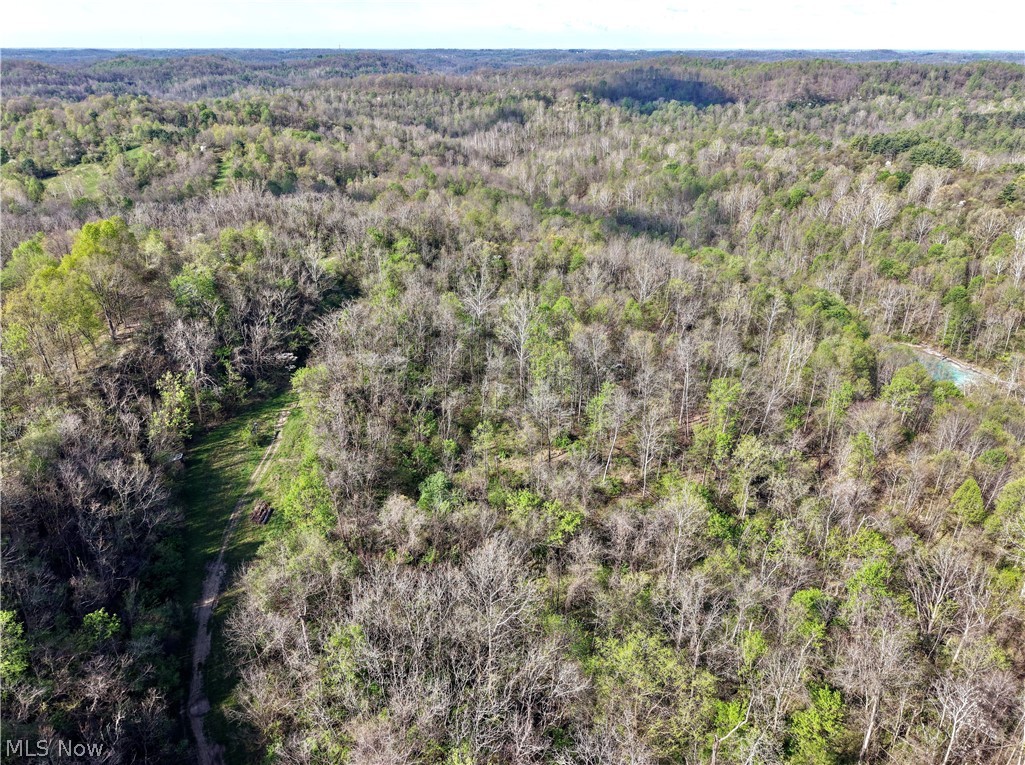 0 Harrons Ridge Road Dexter City OH 45727