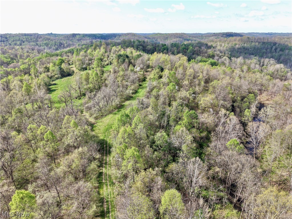 0 Harrons Ridge Road Dexter City OH 45727
