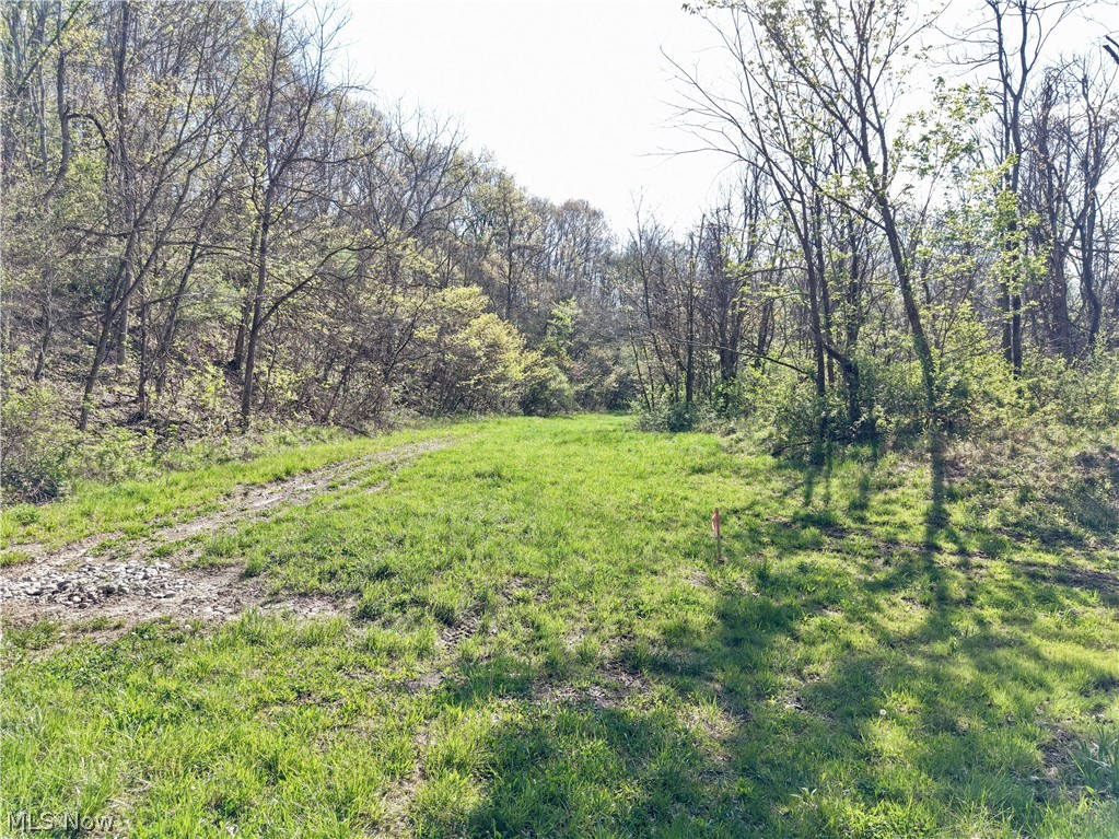 0 Harrons Ridge Road Dexter City OH 45727