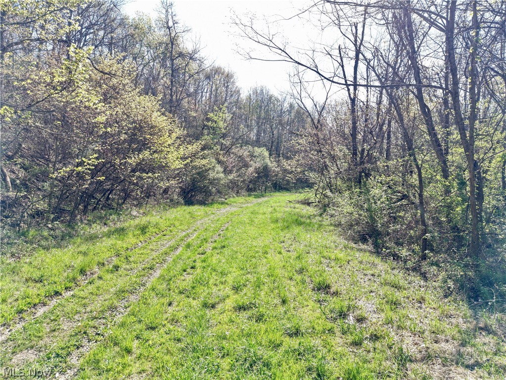 0 Harrons Ridge Road Dexter City OH 45727
