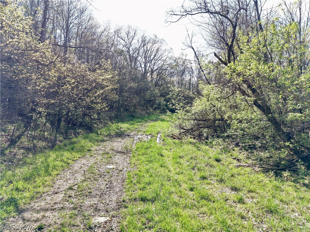 0 Harrons Ridge Road Dexter City OH 45727