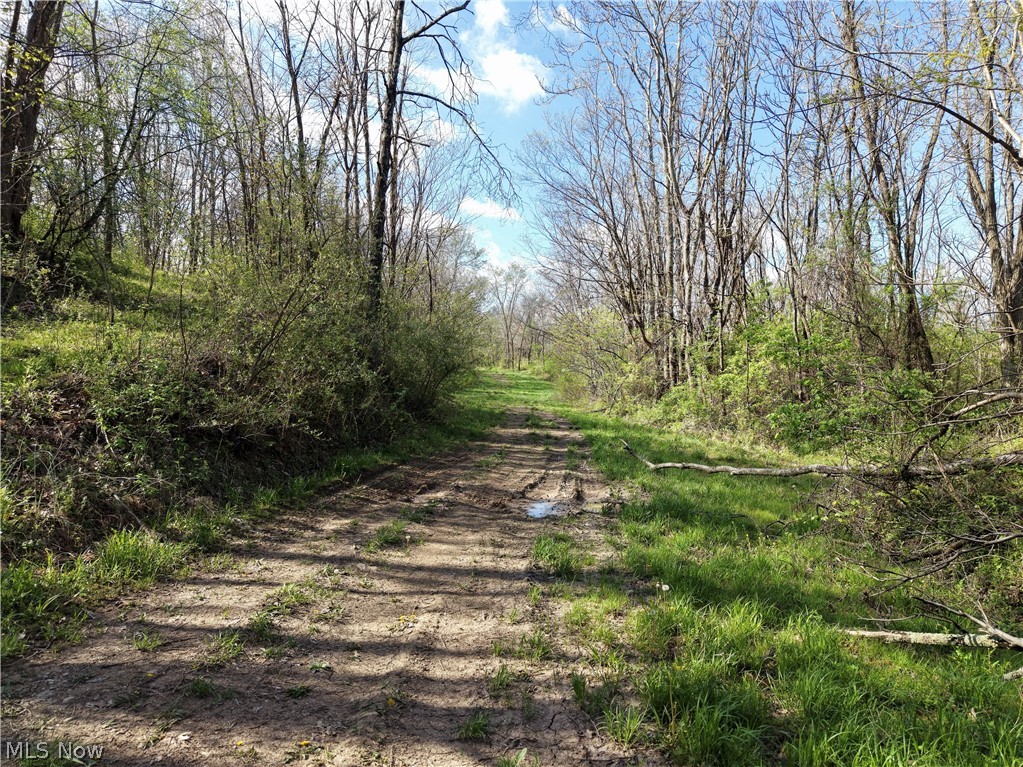 0 Harrons Ridge Road Dexter City OH 45727