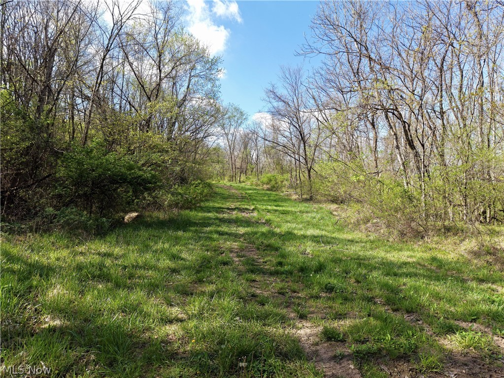 0 Harrons Ridge Road Dexter City OH 45727