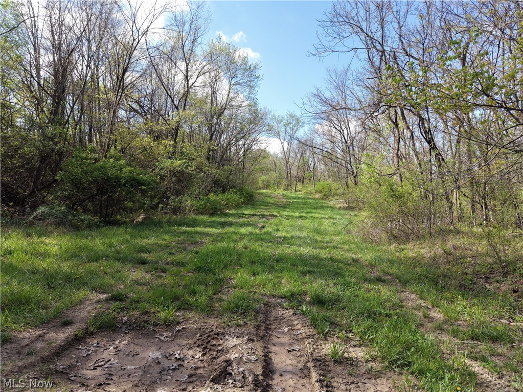 0 Harrons Ridge Road Dexter City OH 45727