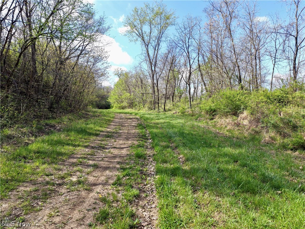 0 Harrons Ridge Road Dexter City OH 45727