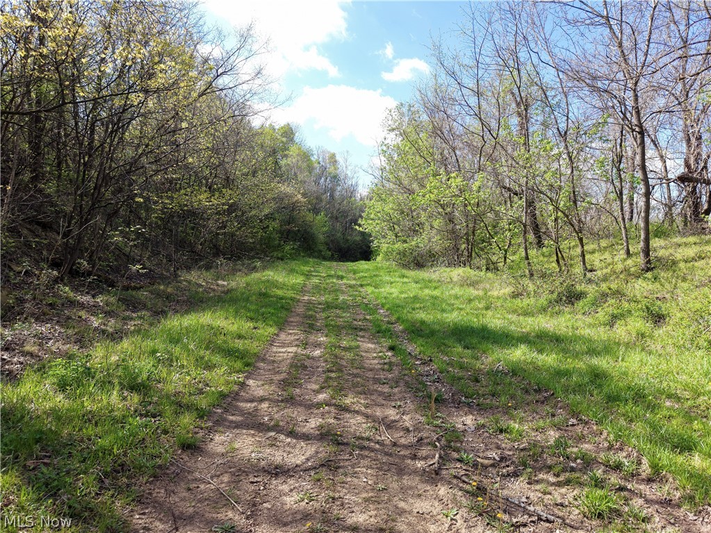 0 Harrons Ridge Road Dexter City OH 45727