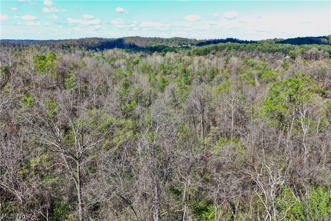 0 Harrons Ridge Road Dexter City OH 45727