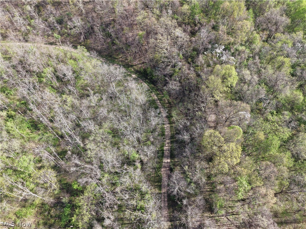 0 Harrons Ridge Road Dexter City OH 45727