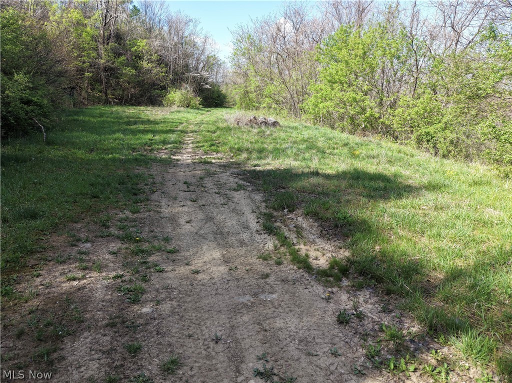 0 Harrons Ridge Road Dexter City OH 45727