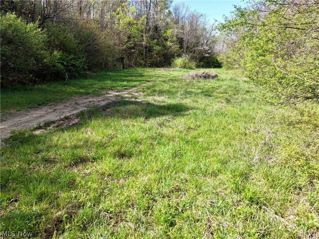 0 Harrons Ridge Road Dexter City OH 45727