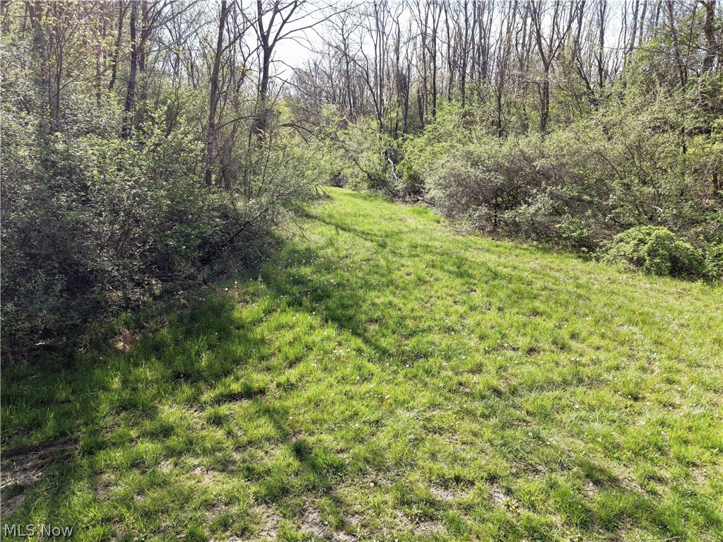 0 Harrons Ridge Road Dexter City OH 45727