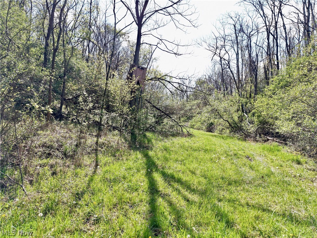 0 Harrons Ridge Road Dexter City OH 45727